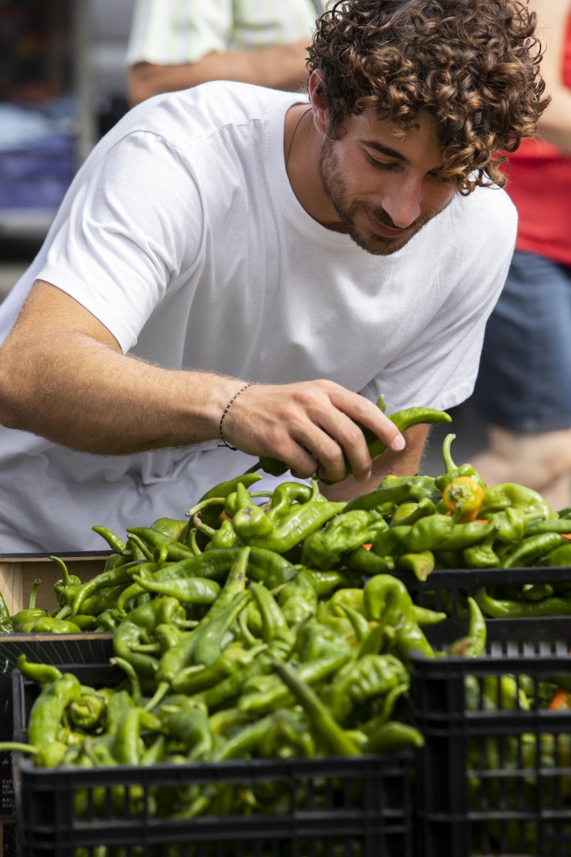 Tarım Ürünleri İhracatı Şirketi