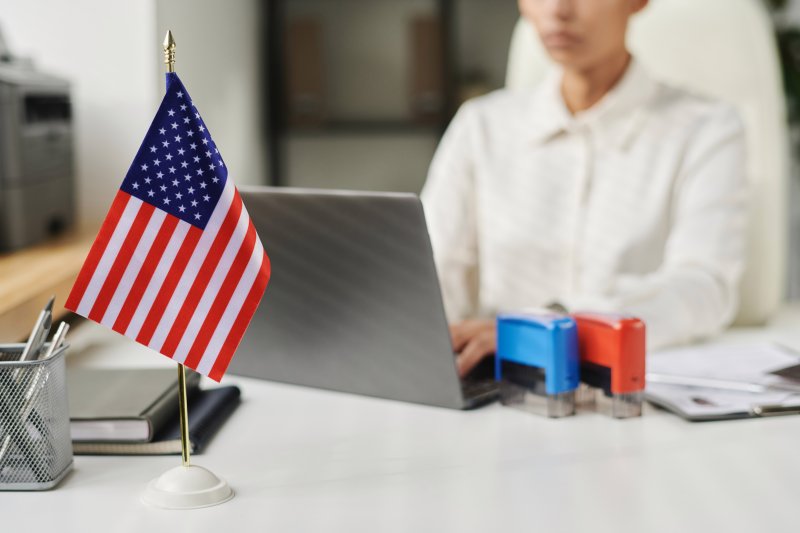 Amerika LLC Kurulumu